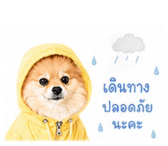 841039224