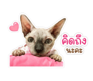 841039333