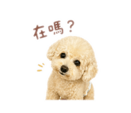 841040034
