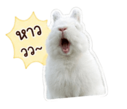 841041124