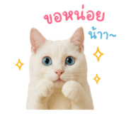 841041134