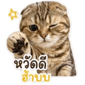 841041922