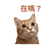 841047770