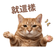 841047792