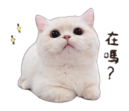 841048170