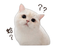 841048171