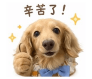 841048435