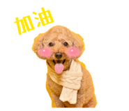 841048694
