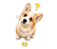 841048755