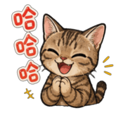 841049205