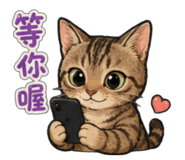 841049217