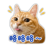 841049263