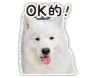 841050100