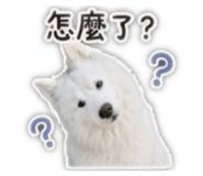 841050106