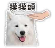 841050128