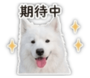 841050130