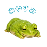 841055944