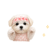 841056330