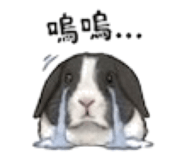 841056419