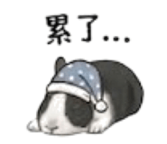 841056422