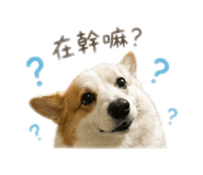 841058074