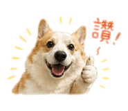 841058090
