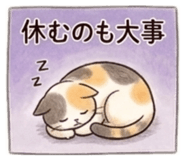 841058612
