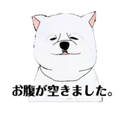 841058626