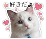 841059132