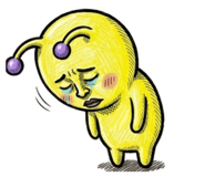 841060024