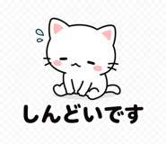 841062432