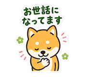 841062571