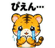 841063550