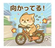841064054