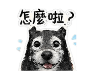 841065754