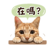 841065888