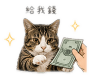 841066454