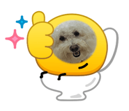 841066475