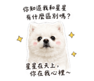841066704