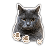 841067137