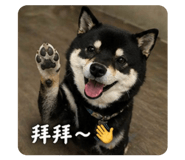 841067329