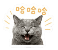 841067355