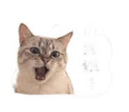 841068385