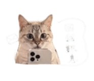 841068386