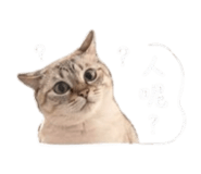 841068387
