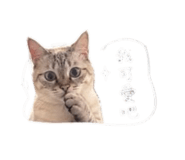841068388