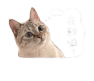 841068400