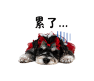 841068720
