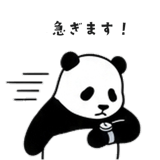 841069616