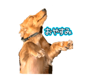 841070249